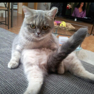 Image de profile de louis